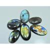 343Cts.Natural Labradorite Multi Fire Oval Cabochon Loose Gemstone 06Pcs Lot LL-990