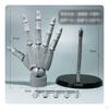 Articulated Hand Model Movable Poseable Jointed for Artists, Illustrators, Sketching, Art