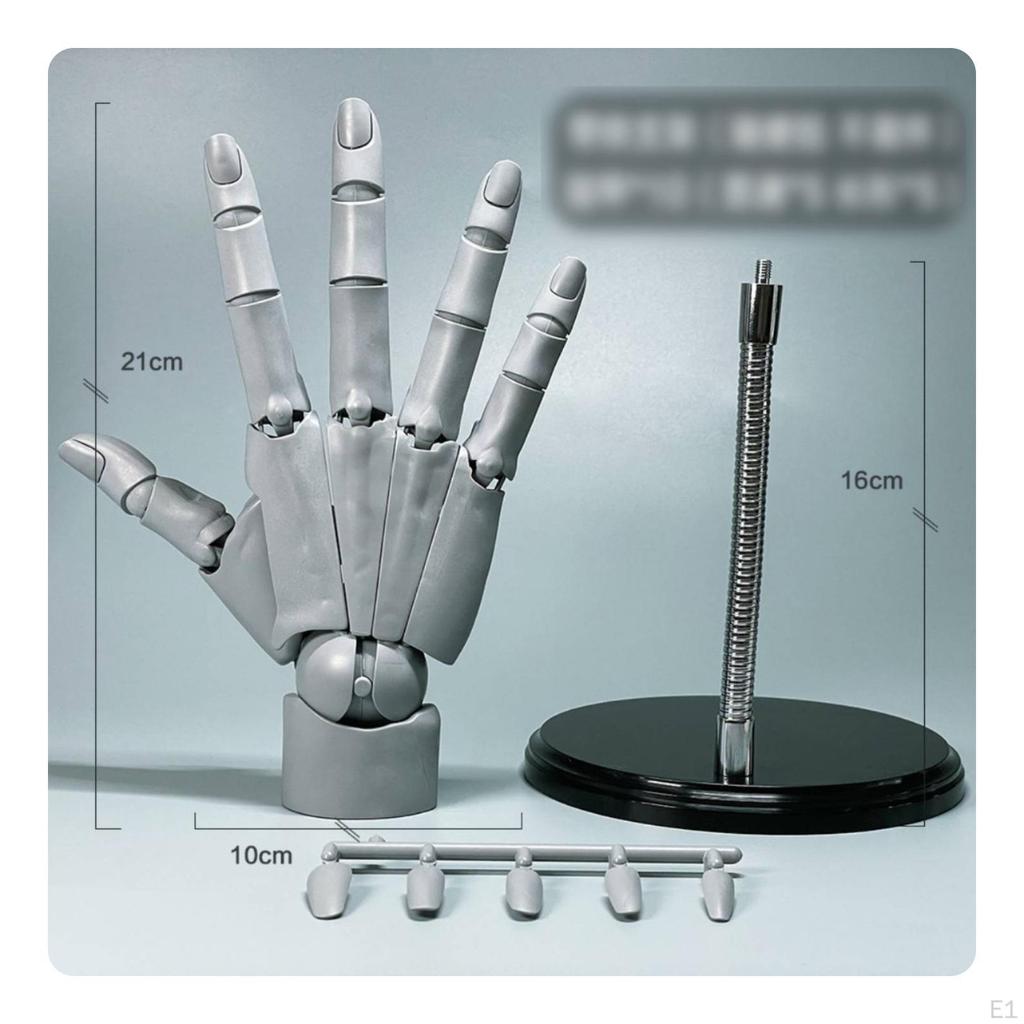 Articulated Hand Model Movable Poseable Jointed for Artists, Illustrators, Sketching, Art
