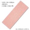 Set of 5 Traditional Japanese Tenugui with Small Patterned Designs Individually Packaged (hand Towels) (C), (raw Edges).