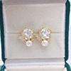 Zhuji Pearl French Classic Camellia Freshwater Pearl Stud Earrings Fashion High-End Women's Jewelry.