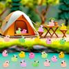 10/20Pcs Luminous Mini Resin Flamingo Ducks Glow In The Dark Flamingos Tiny Animal Figures Diy Crafts For Fairy Garden Micro