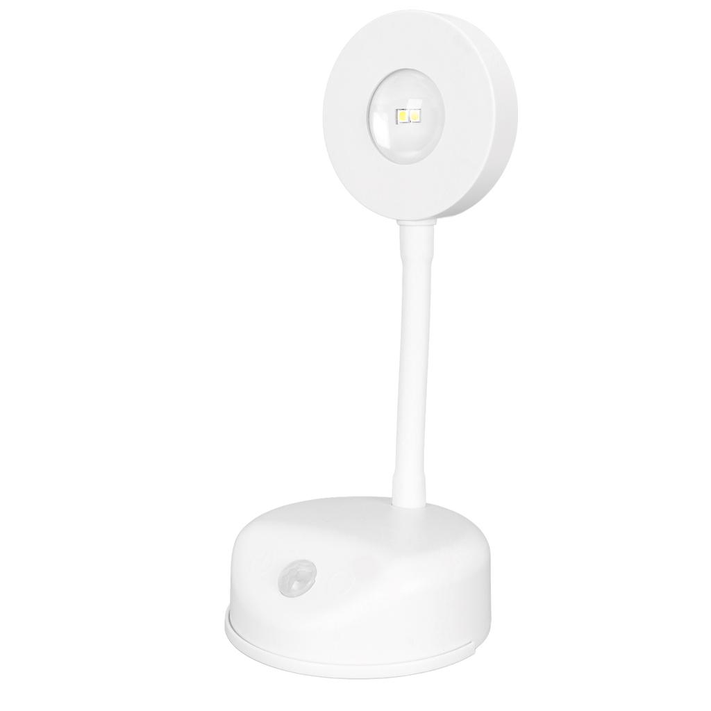 LED Motion Sensor Picture Light Battery Operated Rechargeable Wall Sconce Dimmable 3 Color
