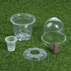 1/5Pcs Visible Clear Plants Germination Cup Transparent Plastic Nursery Growing Box Indoor Garden Greenhouse Seed Starter Tray