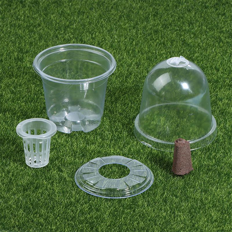 1/5Pcs Visible Clear Plants Germination Cup Transparent Plastic Nursery Growing Box Indoor Garden Greenhouse Seed Starter Tray