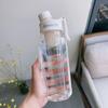 Large Capacity Sports Water Bottle with Tea Strainer - Ideal for Men, Women, Students, and Outdoor Fitness