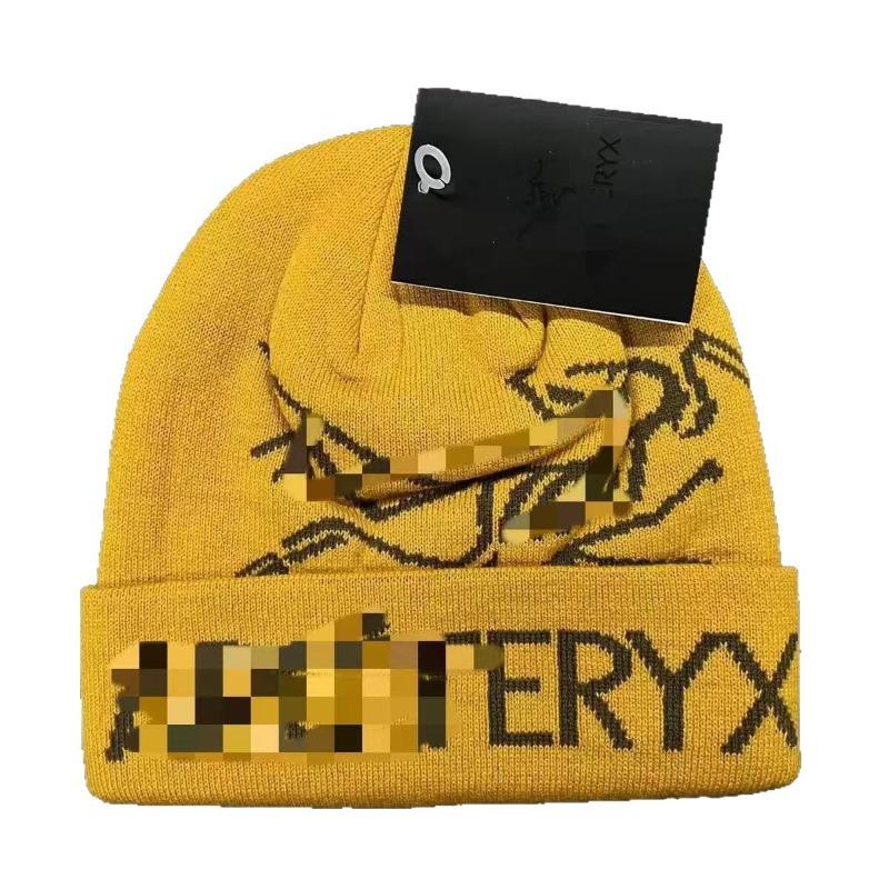Autumn and Winter New Hats Versatile Hats Knitted Hats Embroidered Warm Hats Wool Hats