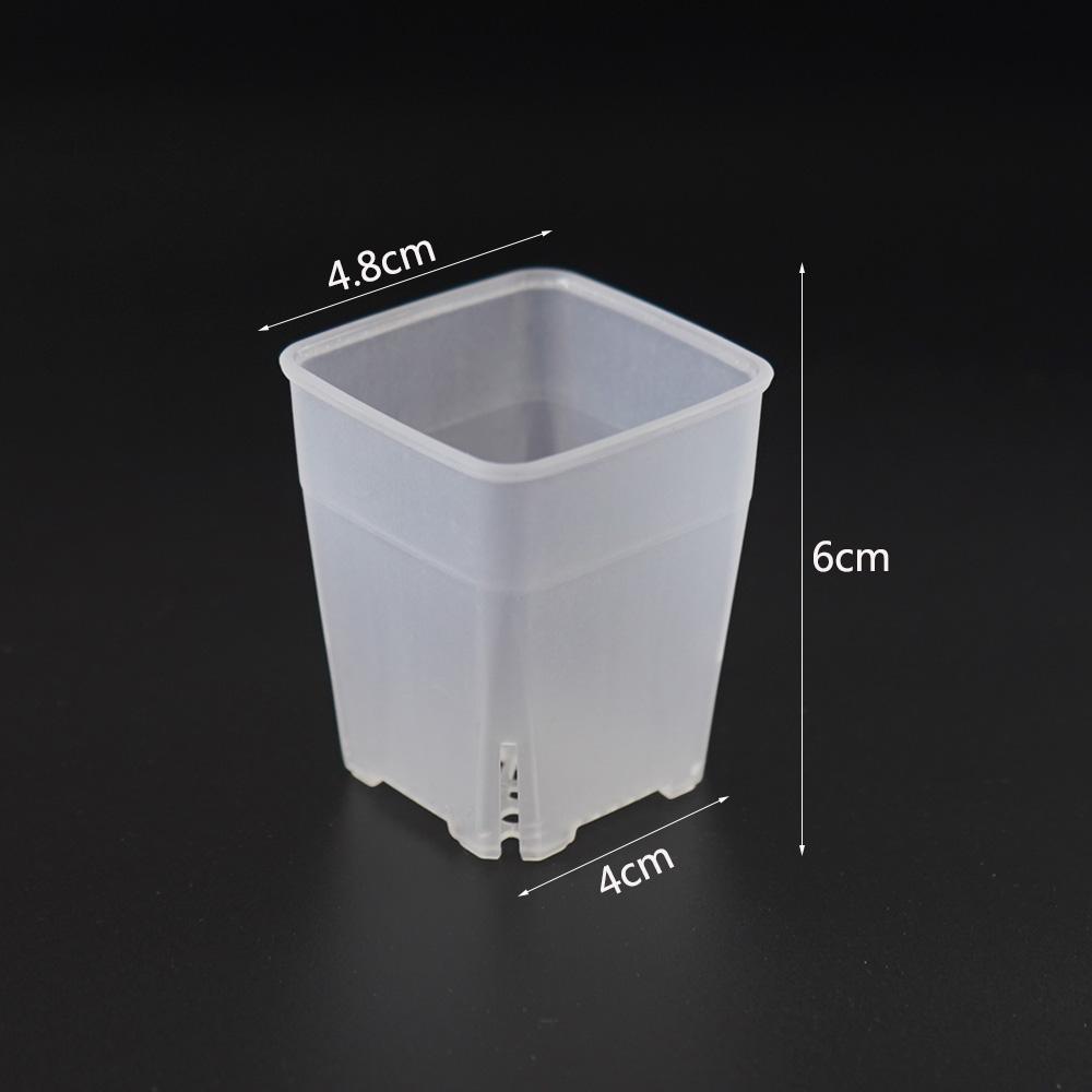 Square Meaty Flower Plastic Transparent Pot Breathable Bonsai Plant Pot Desktop Decoration For Garden Yard Living Room Balcony