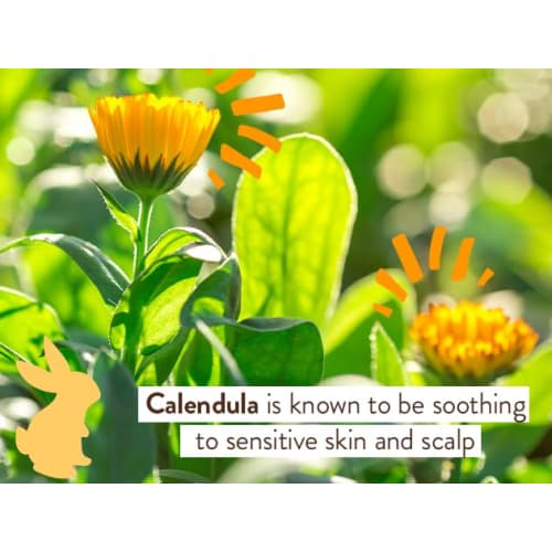 Babo Botanicals Baby Shampoo and Wash - Moisturizing - Oatmilk - 16 oz