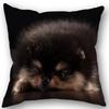 New Custom Pomeranian Dog Pillowcase Cotton Linen Fabric Square Zipper Pillowcase 45X45Cm Wedding Decorative Pillow Cover