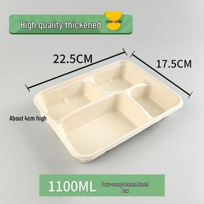 Conteneurs pour aliments – Boîtes à lunch