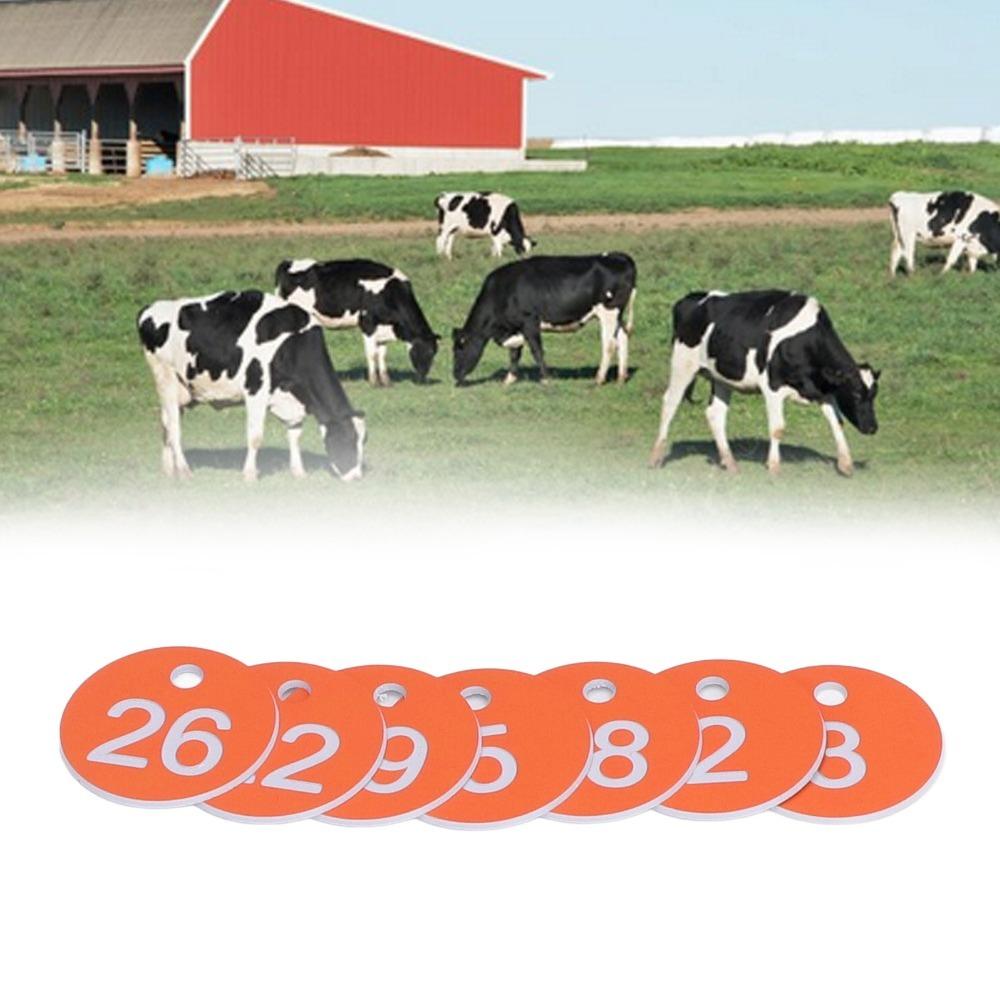 50Pcs ABS Serial Number Tags Numbered 1-50 Livestock Sorting Markers Apiary Labels  Apiary Use