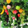 Artificial Grapevine Trellis with Fake Fruits, Vegetables, Rattan Green Leaves, and Flowers for Ceiling Decoration