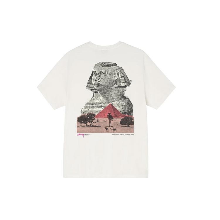 Stussy FW21 Tee Unisex 1904752