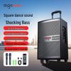 Aigo S312 12-inch Portable Bluetooth Trolley Speaker with Dual Microphones (CN Version)