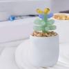 Accesorii pentru decor – Articole de sticlă