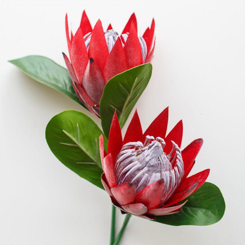 Johanne Broberg Fake Protea Flowers For Sale Hotsale Artificial