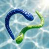 Recommended Children's Diving Snake Toys Water Toy Snake's Buoyancy Principle Swimming Toy Bottom Toys -drowning Diving Toys