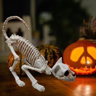 Halloween Decoration Realistic Looking Decorative Enhance Atmosphere Plastic Horror Cat Skeleton Halloween