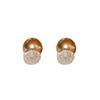 Real Gold Electroplated Silver Needle Zircon Pearl Earrings Fashion High-end Stud Earrings Personalized Versatile Light Luxury Earrings Women
