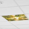 Autumn Morning Quiet Forest Ceiling Bedroom Beautiful Home Beautification Stickers