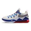 LeBron 17 Low Tune Squad