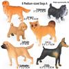 Children's Animal Model: British Shorthair, Maine Coon, Sloth, Orange, Calico, and Blue Cats - Car Decoration