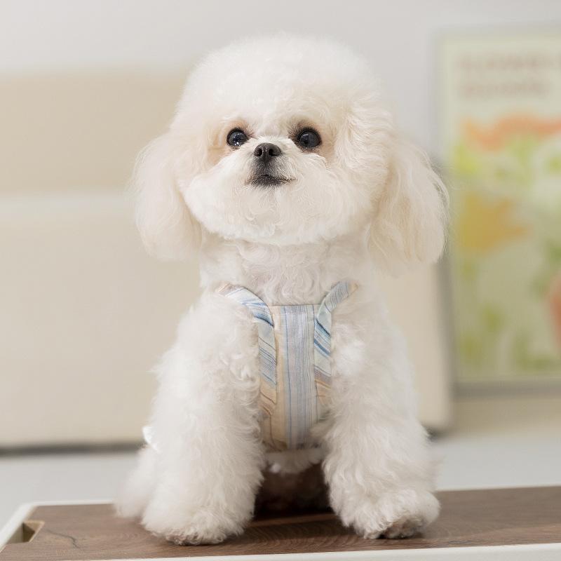 Spring and Summer Teddy Bigbear Bigfoot Pet Clothing Thin Breathable Striped Skirt Small Dog Cat Dog Clothing