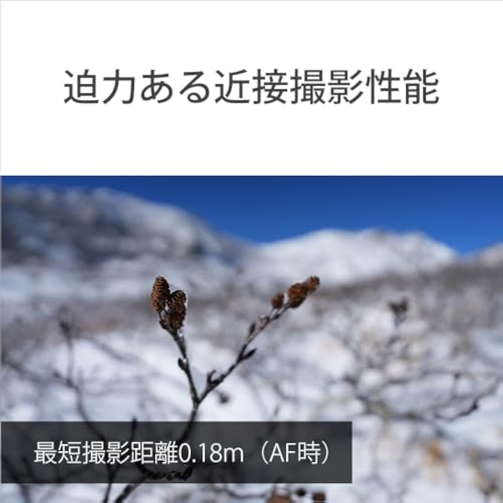 SONY (Sony) Wide Angle Zoom Lens Full Size FE 16-25 mm F2.8 G Lens Digital Single Lens Alpha [E M...