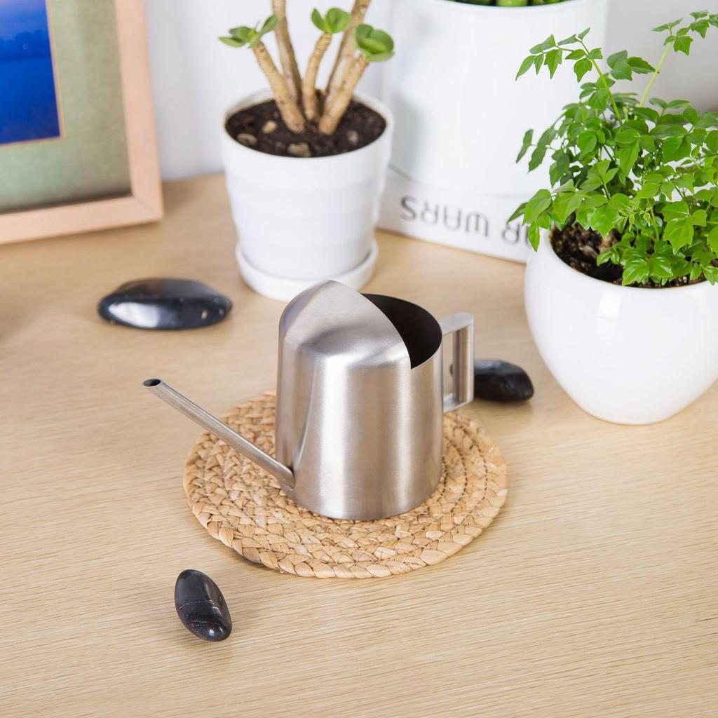 300ML Stainless Steel Watering Can with Long Spout for Plants and Succulents - Ideal for Kids and Mini Gardens