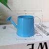 Vintage Small Metal Watering Can Mini Long Spout Pot for Indoor House Potted Flowers Home Balcony Plant Care Tool