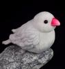 Lilizzhoumax White Java Sparrow Plush Realistic Bird Stuffed Realistic Albino Bird Stuffed Cute Soft and Fluffy Plush Toy for Kids Baby Home Decor