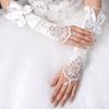 Bead Detailing Wedding Bridal Gloves Lace Embroidery Bridal Arm Sleeves  Wedding Accessories