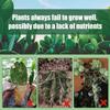 Fertilizzanti Spray Professionali per Cactus Nebulizzazione per Giardinaggio Miscela Delicata Nebulizzazione per la Salute Nutrienti per la Crescita delle Foglie