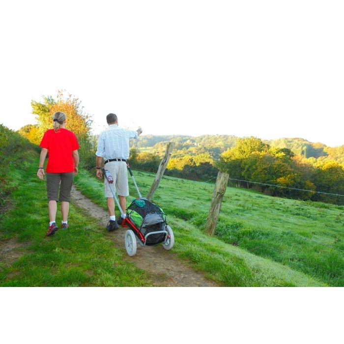 Wanderwagen - mottez a700p