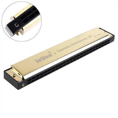 FEIFAN Gold 24 Löcher 8K Titan Mundharmonika Tremolo Tone Key C Harp Mundharmonika Musikinstrumente
