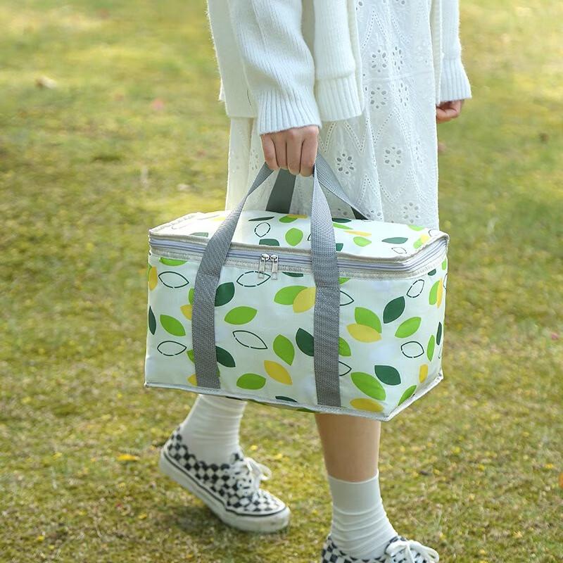 Fumade Outdoor Insulated Picnic Bag