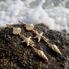 Mermaidcore Long Drop Earrings for Women Gold Color Shell Pearl Starfish Dangle Fairycore Aesthetic Summer Beach Jewelry Gift
