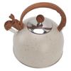 Whistling Kettle 2.5L Capacity Stainless Steel Stovetop Teapot for Water Boiling