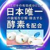 [.co.jp Exclusive] [Bulk Purchase of 2] Clinica PRO All-in-One Toothpaste, Fresh Clean Mint, 95g X 2