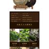 357g Yunnan Pu'er Raw Green Cake Tea Cake Spring Icelandic Seven Seed Cake Tea
