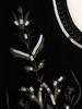 2024 Autumn Women's European & American Velvet Sequin Embroidered Vest