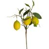 Composizione Floreale Fresca Stile Foresta con Rami di Limone per Decorazione Soggiorno o Vetrine