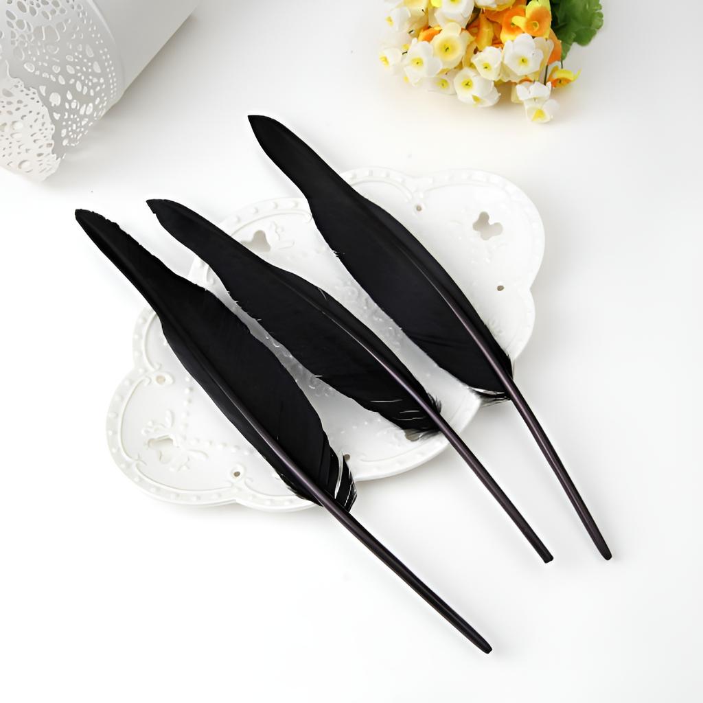20-30 cm Dlouhá Černá Pírka Pro Řemesla Krůtí 10 ks Plumas Dekorace Velké Bažantí Ocas Piume Klobouk Vázy Karneval Dům Zakřivená