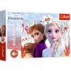 17333 "60 - The Enchanted World of Anna and Elsa" / Disney Frozen 2