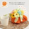 Preserved Flower Fluffy Cup, Orange (Made in Japan by a Floral Decorator) Wrapped in a Clear Box, Perfect as a Gift or Present