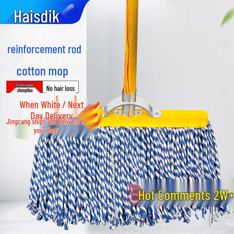 HAISIDIKE Flat Dust Mop