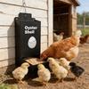 Pack Of 2 Metal Meal Dispensers For Poultry And Birds Durable Chicken Supply With 1.3L Capacity Each Perfect For Backyard Flocks
