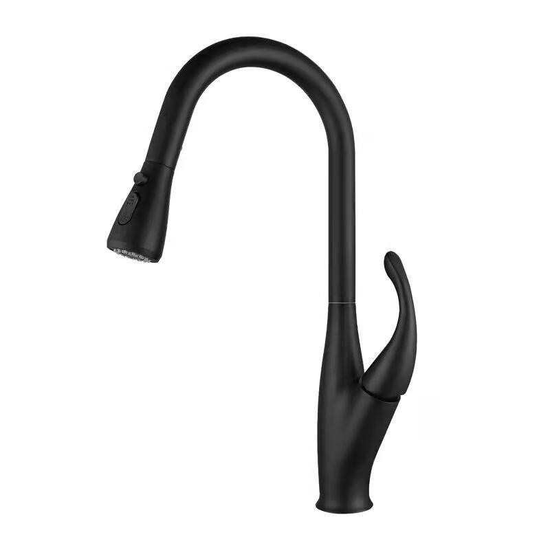 

TLXT Tall Pull-Out Kitchen Faucet