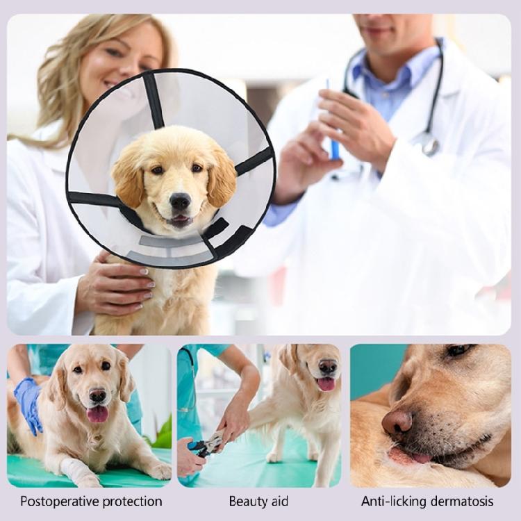 Comfortable Cats Cone Collar for Post Surgery Recovery and Wound Protections